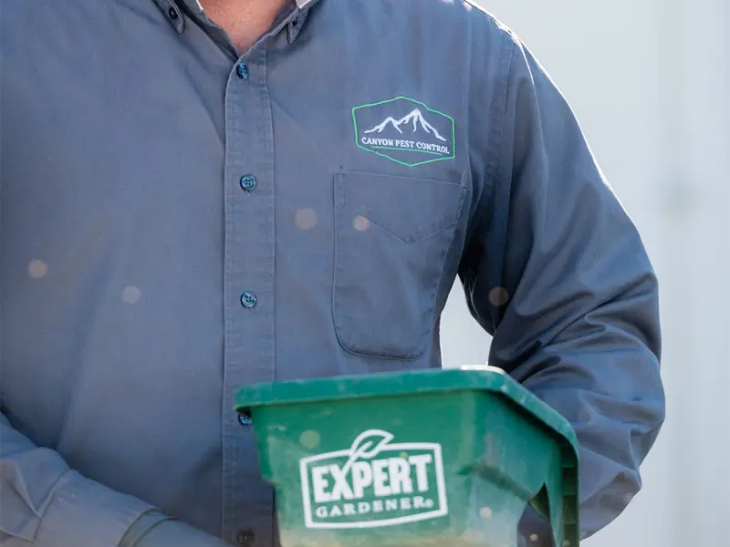 pest control services american fork ut